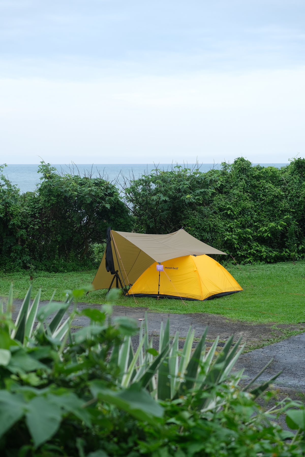 Campsite_E_2 Night